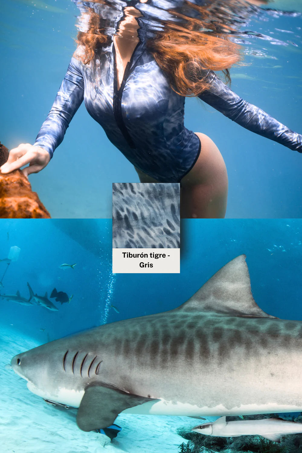 Traje de baño de surf con tiburón ballena - FitPlanet