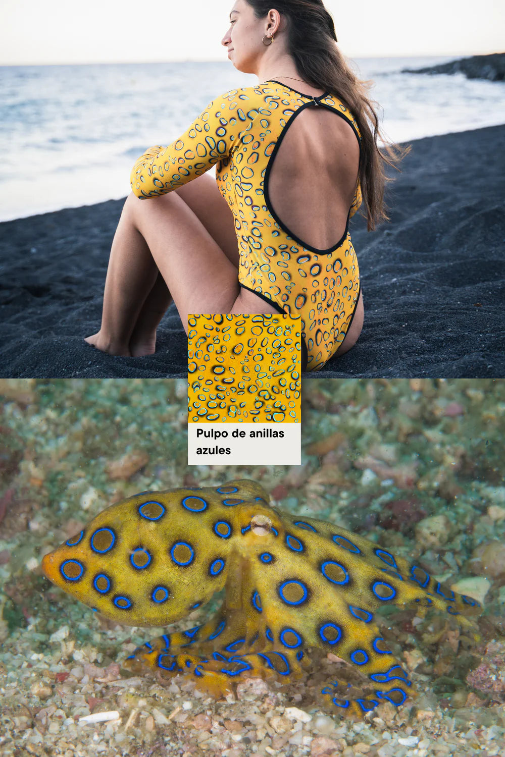 Traje de baño de surf con tiburón ballena - FitPlanet