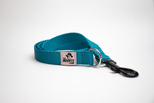 Correa para perro color azul