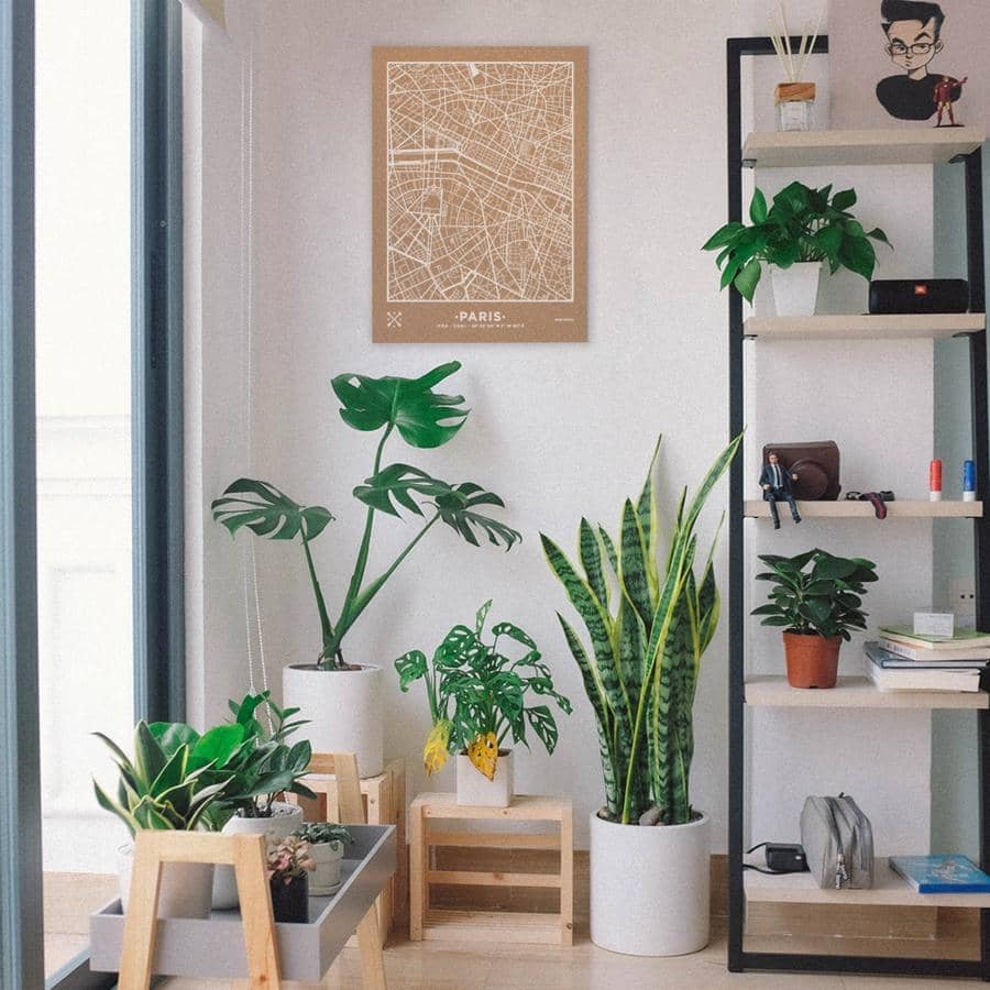 Mapa de corcho - Woody Map Natural Paris----Misswood