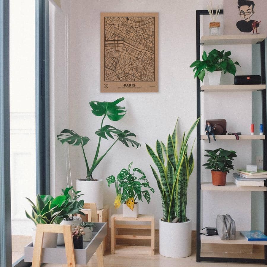 Mapa de corcho - Woody Map Natural Paris----Misswood