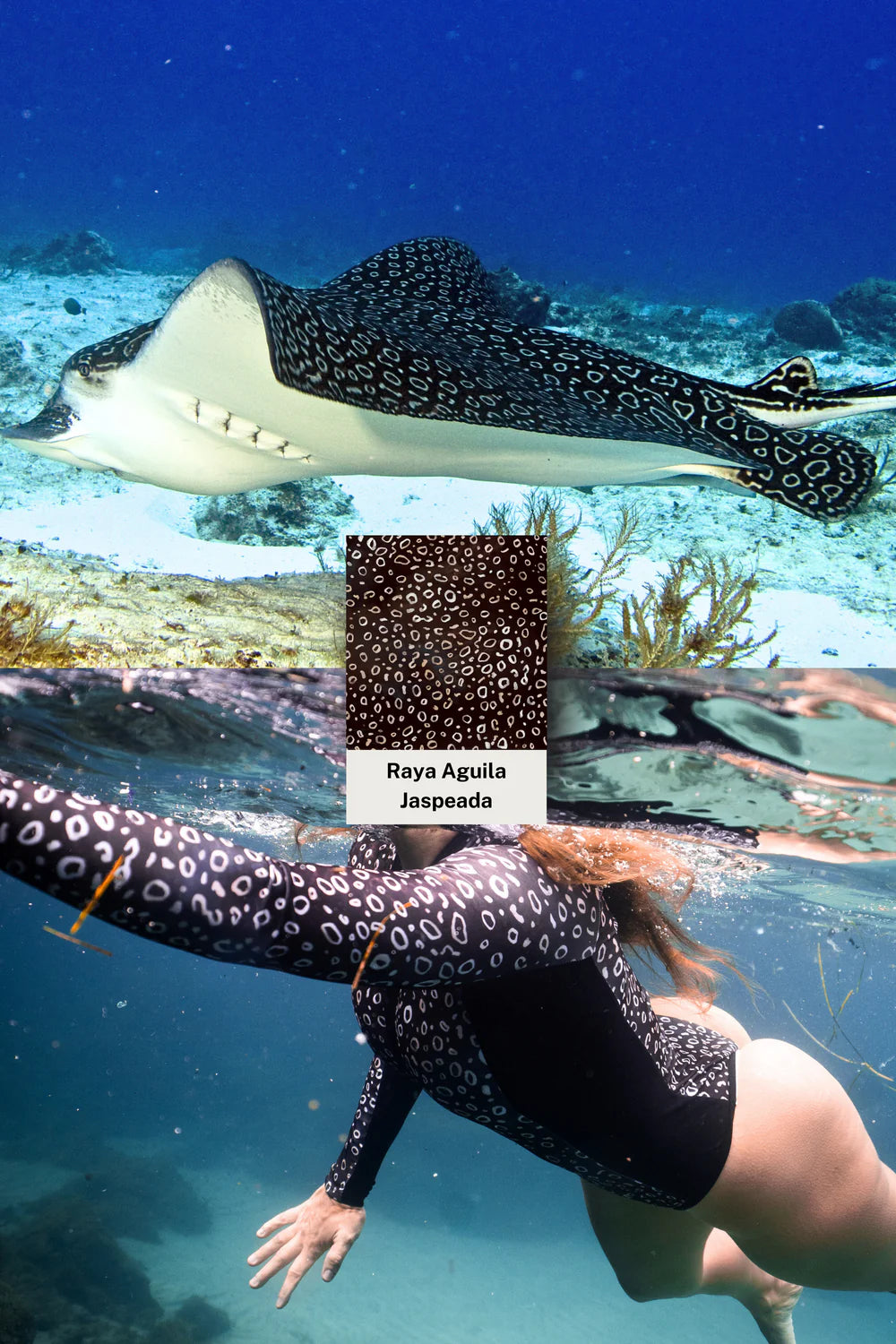 Manta Ray Swimsuit - FitPlanet