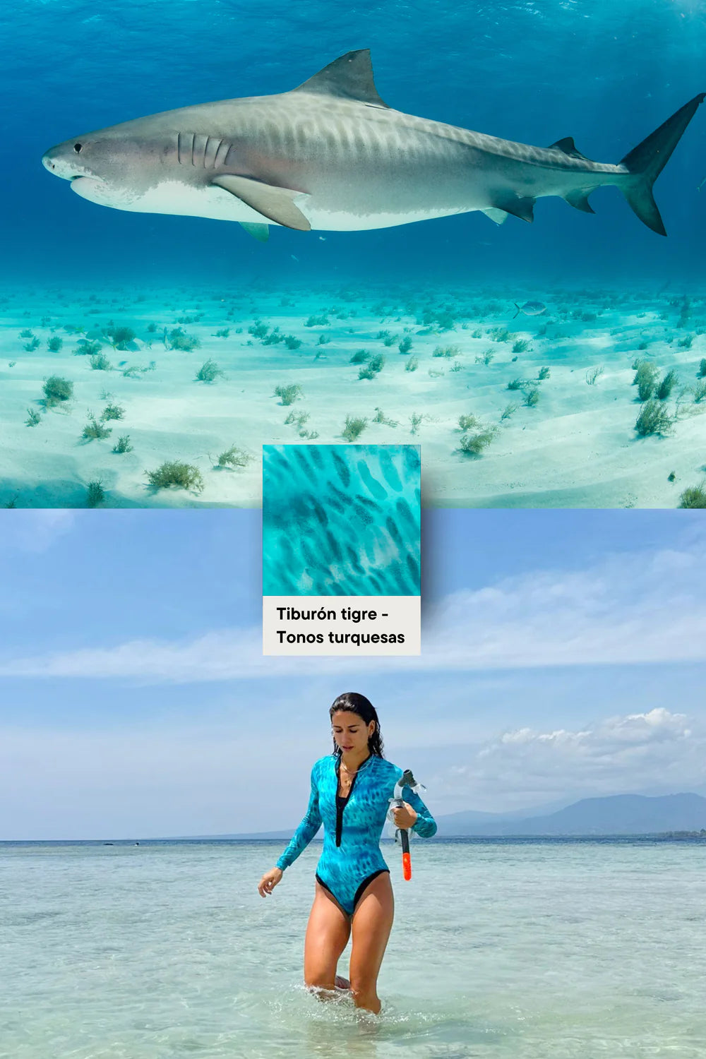 Tiger Shark Surf Swimsuit - FitPlanet