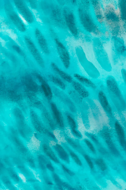 Tiger Shark Surf Swimsuit - FitPlanet