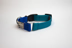 Collar para perro color azul y aquamarina
