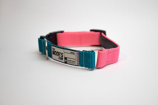 Collar sostenible para perro rosa y aquamarina