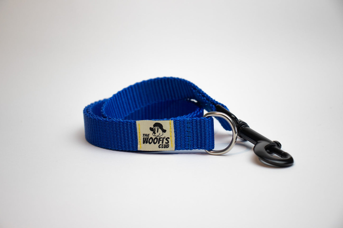 Correa para perro ecológica azul