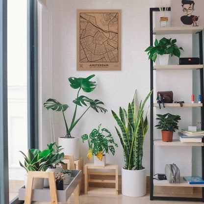Mapa de corcho - Woody Map Natural Amsterdam----Misswood