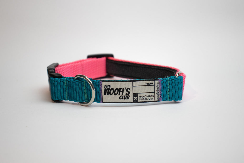 KIT Correa y Collar Sunset