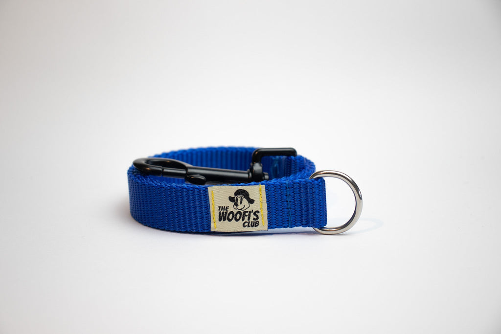 correa azul ecologica y sostenible para perros y mascotas