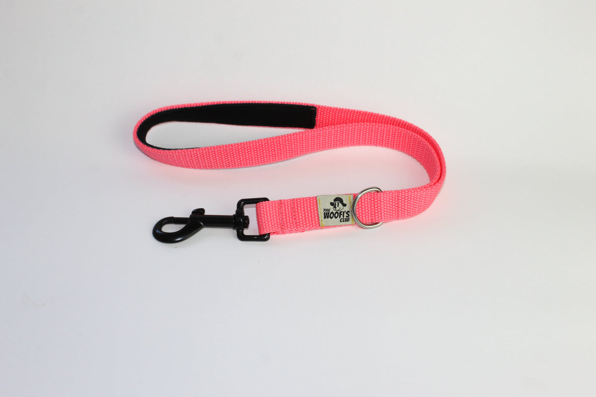 Customizable short leash - Turquoise blue